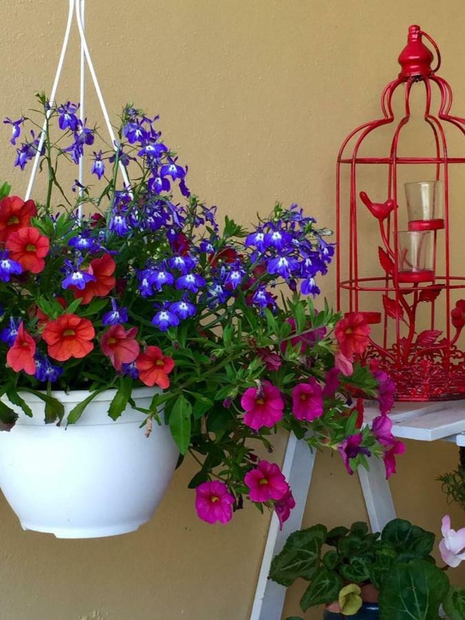 Casa De Ferias Josefa D'Obidos Villa Dış mekan fotoğraf